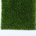 Toulon budget 40mm 400cm breed