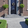 Spotted Bluestone 20x5x5 cm