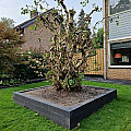 Muurblok 10x10x60 cm Antraciet