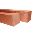 Douglas fijnbezaagde paal 10x10x250 cm, onbehandeld.