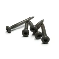 Rvs schroef met gekleurde top voor ntw castellation pro, set a 50 stuks incl. bit, silver gray.