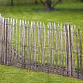 Engelse kastanjerol, 2 draden 460x90 cm, latafstand 5 cm