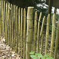 Kastanjepaal geschild Ø10-12x300 cm gepunt, niet gekruind