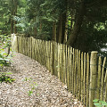 Kastanjepaal geschild Ø10-12x300 cm gepunt, niet gekruind