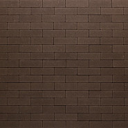  Stone Paving strak 10x30x6 cm Paris
