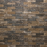 Trommelsteen 20x5x7,3 cm Bark