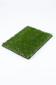 Toulon budget 40mm 400cm breed