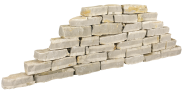 Aseria Yellow 8-12/20-30 cm