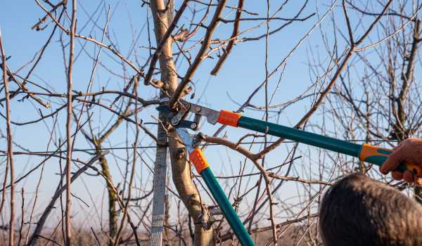 Jager & de With Bestrating