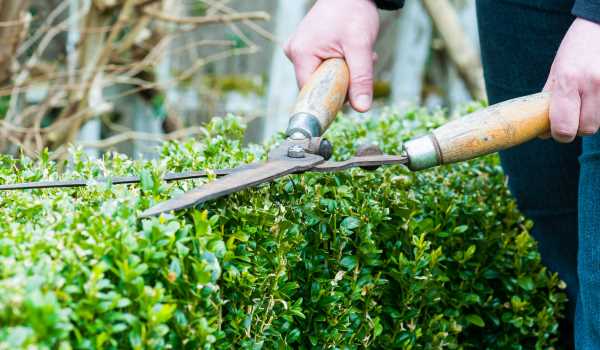 Jager & de With Bestrating