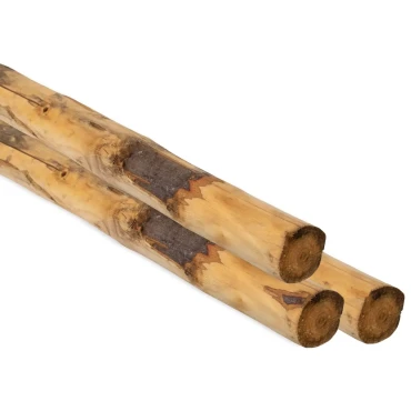Ronde paal tamme kastanjehout geschild, ø 8/10x250 cm.
