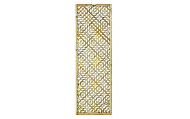 Trellis scherm Jasmijn 60 Excellent, 60x180 cm, groen geïmpregneerd