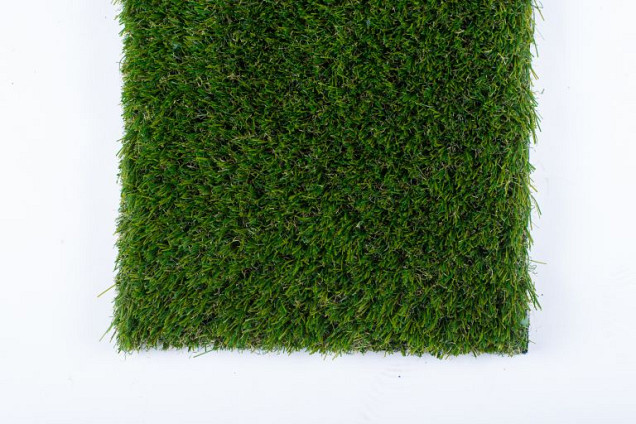 Toulon budget 40mm 400cm breed