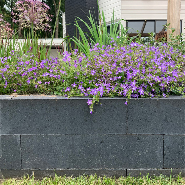 Muurblok antraciet 15x15x80 strak