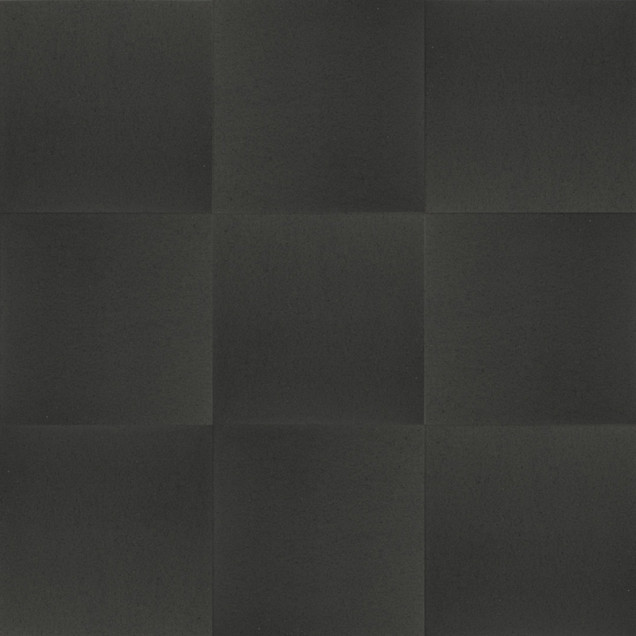 Budget Terrastegel+ 60x60x4 cm Nero