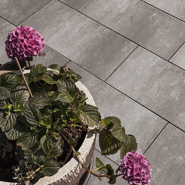 Brushed Facet 30x60x4 cm Park