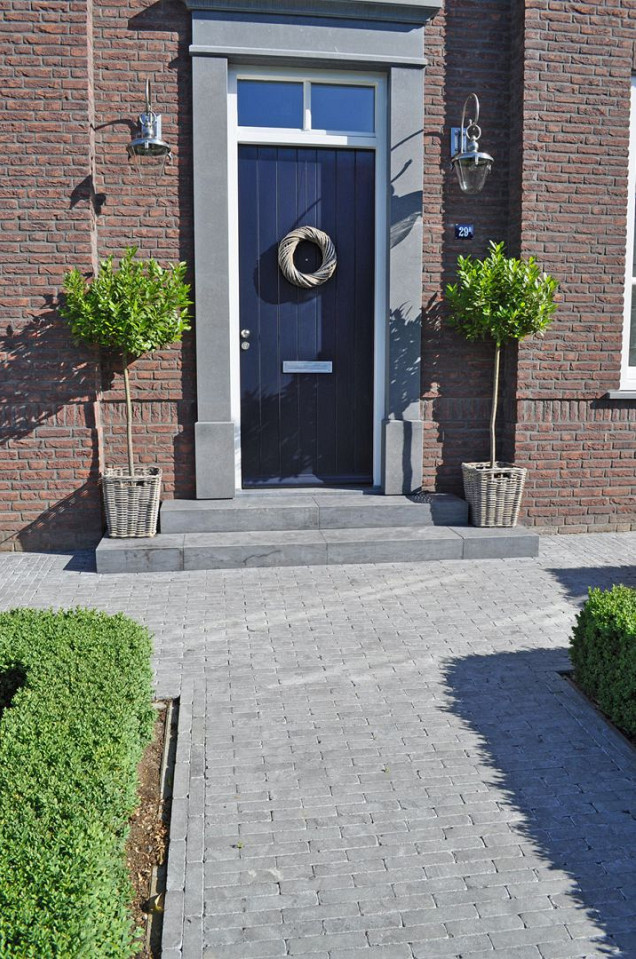 Spotted Bluestone 20x5x5 cm