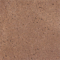 SV Oudhollandse opsluitband 5x20x100 cm roodbruin