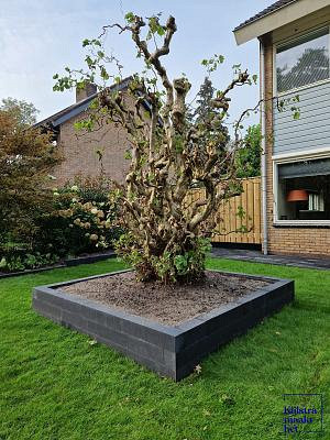 Muurblok 10x10x60 cm Antraciet